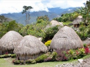 Honai, Rumah Unik dari Lembah Baliem