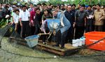 SBY Panen Ikan Patin