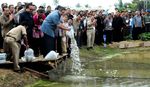 SBY Panen Ikan Patin