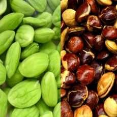 Diimbau Tak Berlebihan Makan Petai dan Jengkol!