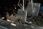 Bus Maut Tewaskan 14 Orang