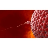 Rahasia Sperma Sehat dari Ayah Tertua di Dunia