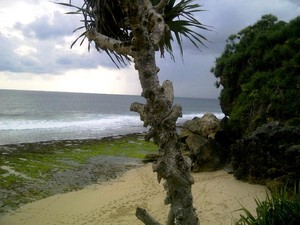 Menemukan keheningan di Pantai Watu lawang