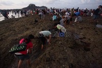 Tak hanya masyarakat Lombok Tengah saja yang menghadiri acara tersebut. Tak sedikit juga wisatawan domestik dan mancanegara turut melihat festival Bau Nyale di Pantai Seger.