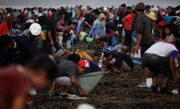 Nyale yang konon katanya merupakan jelmaan dari rambut Putri Mandalika itu keluar di tengah malam dan menjelang pagi. Selepas matahari pagi terbit, cacing berwarna warni itu pun hilang dan tak lagi ada di sela-sela karang atau pun air di bibir pantai.