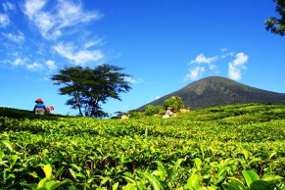 Wah! Gunung Dempo Diperkirakan Tambah Tinggi 23 Meter