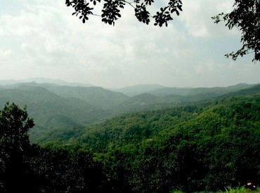 Decak Kagum di Lumbung Opium Doi Tung