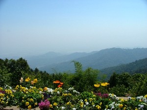 Wisata Seru ke Bekas Ladang Opium!