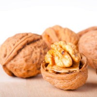 Kenari Terbukti Mampu Cegah Kanker Prostat dan Osteoporosis