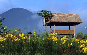 Garut, Swiss Van Java