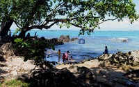 Pantai Cikotok, 15 menit dari Sawarna. Kawasan ini telah populer di kalangan turis bakcpacker maupun pecinta fotografi. Bila Anda punya budget terbatas untuk foto landscape, bisa mencoba di sini.