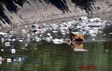 Waduh! 70.000 Ton Sampah Pertahun Dibuang ke Ciliwung