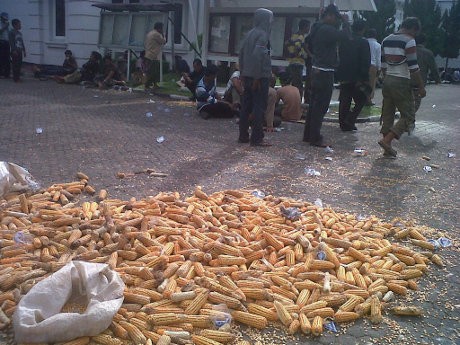 Harga Jagung Anjlok, Ratusan Petani Sumut Desak Penghapusan Impor