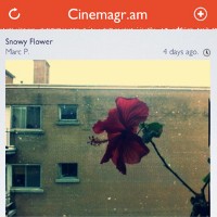 Cinemagram, Aplikasi iPhone untuk Wujudkan Animasi GIF