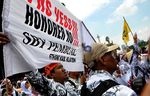 Guru Honorer Minta Jadi PNS