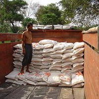 Panen Raya Mundur, Harga Beras Bertahan Tinggi