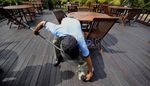 Cegah Rabies, Kucing Liar Ditangkap