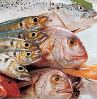 5 Ikan Laut Ini Kaya Kalsium dan Vitamin D