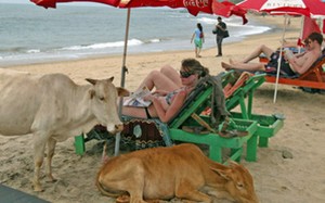 Ini Dia 5 Pantai Paling Nggak Banget di Dunia