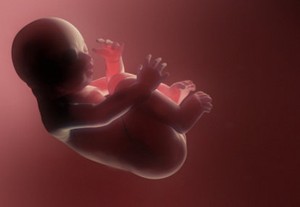 Bayi di Kandungan Bisa Rasakan Makanan yang Dimakan Ibu