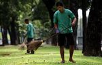 Taman Bersih, Hidup Nyaman