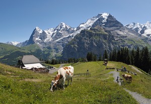 Ini Dia 5 Alasan Kenapa Anda Harus ke Swiss