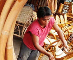 Harga Rotan Melonjak 20%, Industri Mebel Teriak