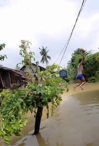 Selain berenang, mereka juga melompat ke dalam air.