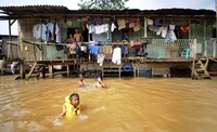 Banjir yang menggenangi Jalan Arus, Cawang, Jakarta Timur, setinggi dada orang dewasa.