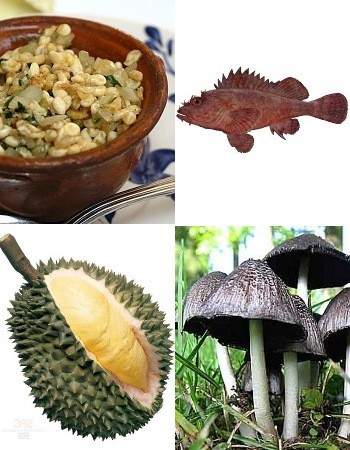 Makanan Enak Ini Bisa Bikin Nyawa Terancam!