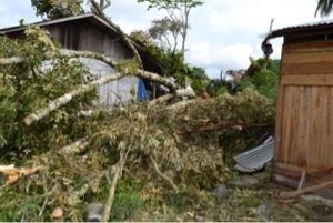 Puting Beliung Tewaskan Seorang Warga di Sumut