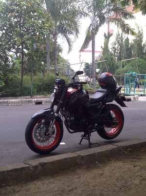 Everydays Touring