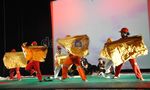 Cintai Hutan Kita dari Sekarang