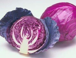 Si Ungu Cantik Pencegah Kanker dan Osteoporosis