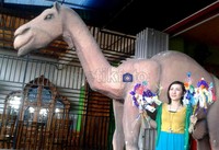 Selain telur maulid, replika unta yang dibuat dari sterefoam juga ikut dipamerkan di sekitar lokasi acara.