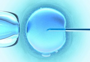 Kini, Sel Telur Wanita Bisa Dibikin Tak Terbatas di Laboratorium
