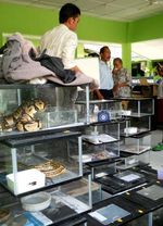 Toko Kembang Api di Yogya Terbakar