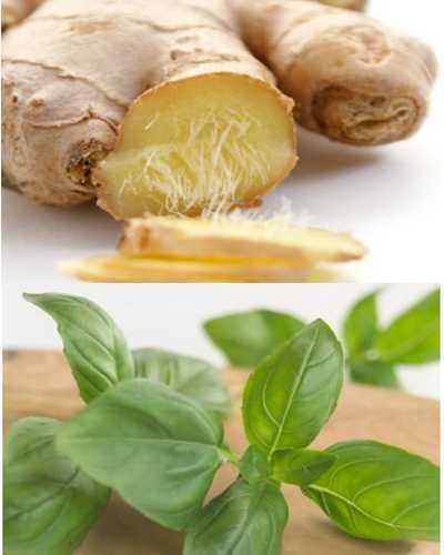 Sedang Bad Mood? Makanlah Alpukat dan Anggur!