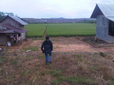 Digerus Tambang Batu Bara, Areal Transmigransi di Kukar Terus Menyusut