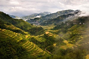 Ini Dia Teras Sawah Tertua di Dunia