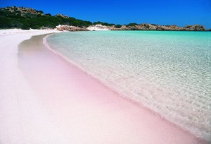 Aiih! Ada Pantai Pasir Pink di Pulau Komodo