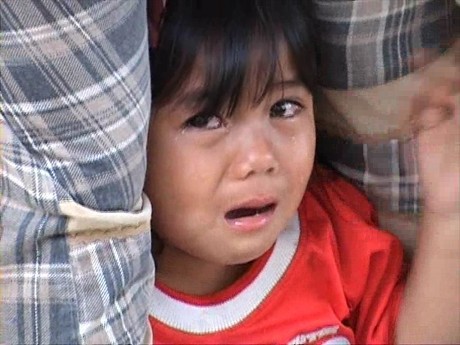 Keluarga Minta Tersangka Pencurian 2 Batang Kayu Pinus Dibebaskan