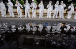 Berbaju Anti Radiasi, Greenpeace Tolak PLTN