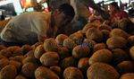 Digempur Kentang Impor, Petani Lokal Kian Resah