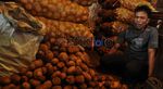 Digempur Kentang Impor, Petani Lokal Kian Resah