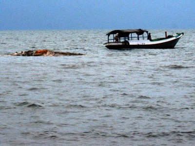 Bangkai Paus di Situbondo Dibuang ke Tengah Laut