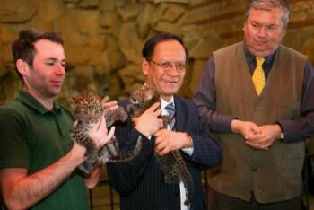 Luarbiasa! Macan Tutul Jawa Berhasil Ditangkar di Jerman