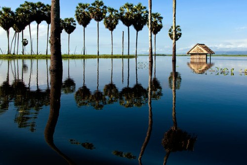 Danau Tempe Penghasil Ikan Air Tawar Terbesar Di Dunia