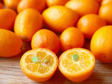 Kumquat, Si Mungil Manis Segar