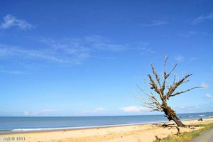 Mentari Pagi yang Sempurna di Pantai Pagatan, Kalsel